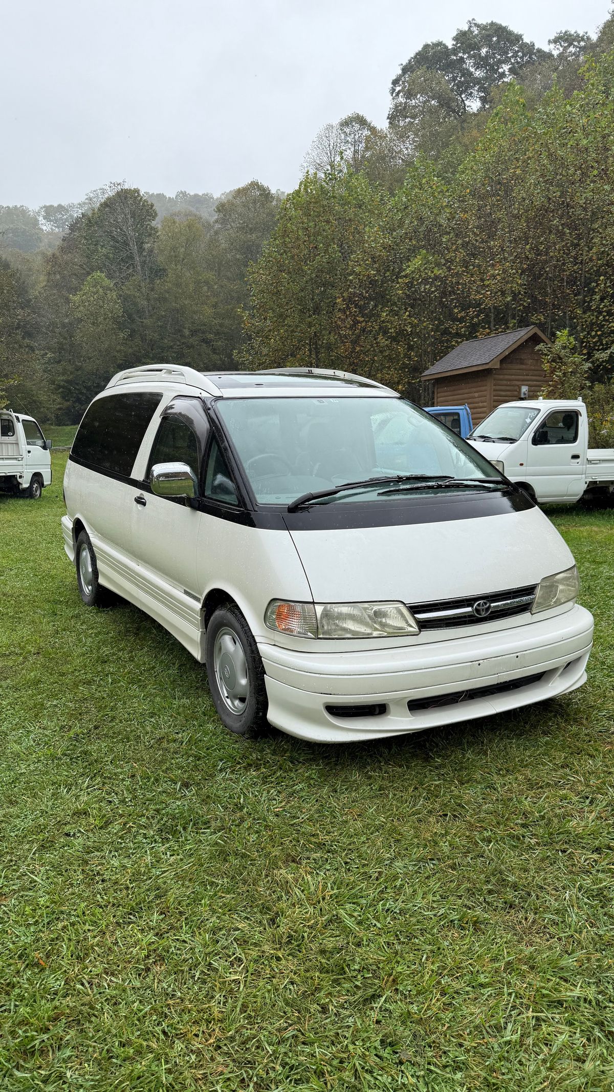Photo 10